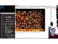 How to Code Many Objects - Gamkedo Fundamentals Particles Demo