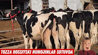 😳 100% Rossiyski Hunojinlar Sotuvda Davron Aka Koʻrib Baho Bering