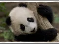 Download Lagu Hou Lai House Music dugem remix