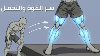 لماذا تمرين الأرجل يغير كل شيء  شرح تمارين الأرجل  دندنها