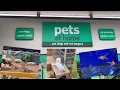 Pets shop in London pets shop tour Moona world
