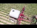 PG17 REDUCING N COST IN CORN PRODUCTION