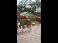 Hail in Berkeley