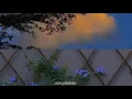 Polo & Pan - Ani Kuni (Sub. Español)
