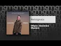 Download Lagu Netsignala - Образ лезгинка (Remix) (Официальный релиз)