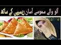 Download Lagu Aloo Waly Samosy By Life with Naila  (آلو والے سموسے)