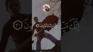 حالات واتس دينية إنك ميت وإنهم ميتون 