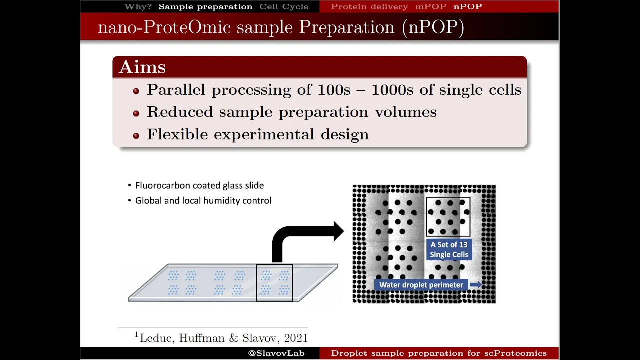 Droplet sample preparation for single-cell proteomics applied to the cell cycle
