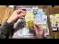 New Doodlebug Mystery Boxes Haul Unboxing