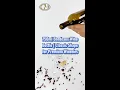 Download Lagu 750ml Bordeaux Wine Bottle | Classic Shape for Premium Wineries