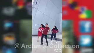 Download Video Tiktok Terbaru 2020 - Si Goyang Santuy (Awe \u0026 Kifli Laode) Part  02 MP3