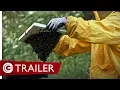 Video di Il tempo delle api - Trailer