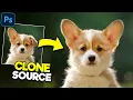 PHOTOSHOP Clone Stamp Tool - Adobe Photoshop Tutorial for Beginners