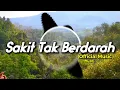 Download Lagu SAKIT TAK BERDARAH DJ REMIX Full Bass | DJ TERBARU 2021 [Official Music] Tik Tok Viral