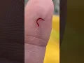 What IS IT