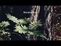 SkorpionBeats-Lost In Bass