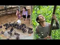 Download Lagu Build barns, raise ducklings and go to the fields to harvest enough flowers to sell at the market. Download Lagu Build barns, raise ducklings and go to the fields to harvest enough flowers to sell at the market.