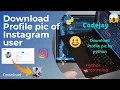 Download Profile pic of Instagram user by python programming codejay Download profile pic