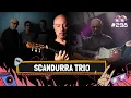 Download Lagu SCANDURRA TRIO - Amplifica #298