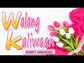Download Lagu WALANG KALIWAAN  [ karaoke version ] popularized by CRISTY MENDOZA