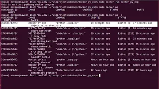 how to run python programs in docker