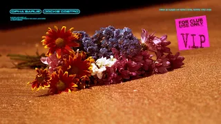 dipha barus flower feat jackie castro vip remix visualizer ultra music 