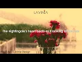 Mehmet Güreli Kimse Bilmez | Lyrics + Subtitle