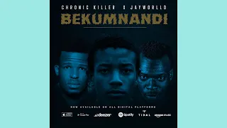 sakhumzibekumnandi chronic killer official audio feat jayworlld u0026 sakhumzi