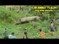 Download Lagu AMAZING // DETIK DETIK TEREKAM JELAS AKSI NEKAD BABI HUTAN MELINTAS SAWAH DIDEPAN PARA PEMBURU ‼️