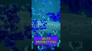 How 8 Of Your DNA Is Literally Viral 