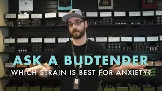 Which Strain Is Best For Anxiety Ask A Budtender