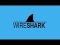 060 Pyshark script