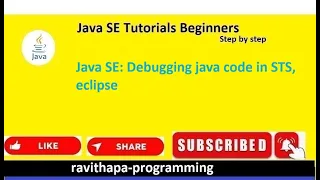 Java SE Java code debugging in STS Eclipse