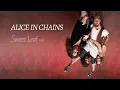 Download Lagu Alice In Chains - Sweet Leaf - Remastered