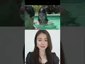 Download Lagu GAK PERCAYA PUTRI DUYUNG SAMPAI AKHIRNYA PARAH NI  ?!?