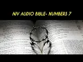 NUMBERS 7 NIV BIBLE with text