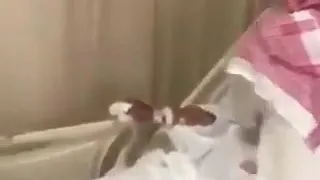 مامثل أخوك اللي على الناس يغنيك أخوك أهو عزك لو كان ماكان 