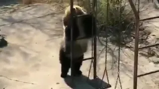 اصل انا تعبان بجد 