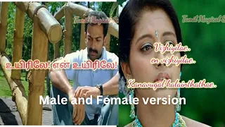  male and female version love sad songs lyrics from lovefailure 