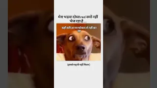 Https Www Instagram Com Reel DQje8NSkeo Igsh CGtwbzZveTVwYWpn 