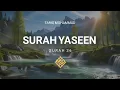 Download Lagu \