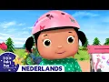 Nee Nee Nee ! Veilig spelen op de Speelplaats | Little Baby Bum Nederland