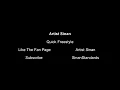 SINAN - QUICK FREESTYLE