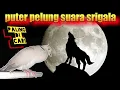 Download Lagu penggemar PUTER PELUNG SUARA SRIGALA