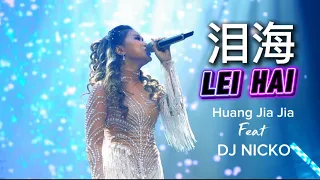 lei hai dj huang jia jia 