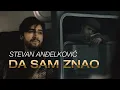 Download Lagu Stevan Andjelkovic - Da sam znao (\