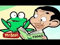 Download Lagu Mr Bean FROG EXPERT | Mr Bean Full Episodes | Mr Bean Cartoons