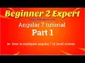 How to configure angular 7 in local system