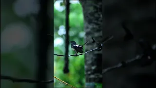 Https M Facebook Com Story Php Story Fbid 108159677858988 Id 102993795042243 