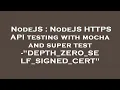 NodeJS NodeJS HTTPS API testing with mocha and super test - DEPTH